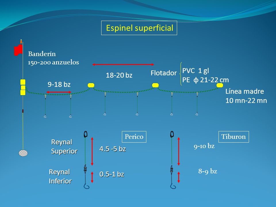 Espinel superficial Línea madre 10 mn-22 mn Flotador bz PVC 1 gl