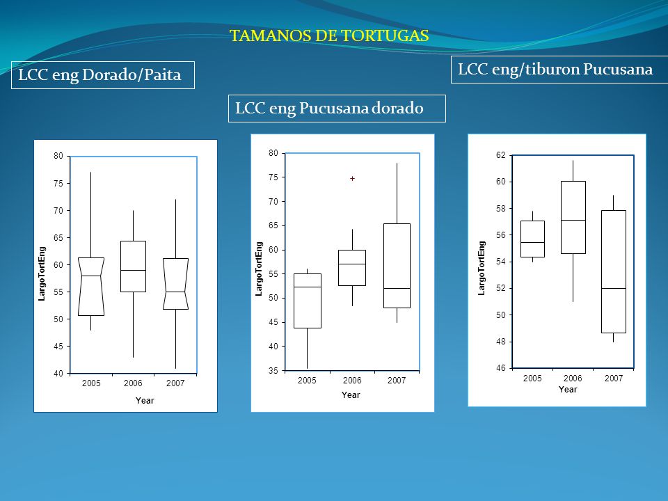 TAMANOS DE TORTUGAS LCC eng/tiburon Pucusana LCC eng Dorado/Paita LCC eng Pucusana dorado