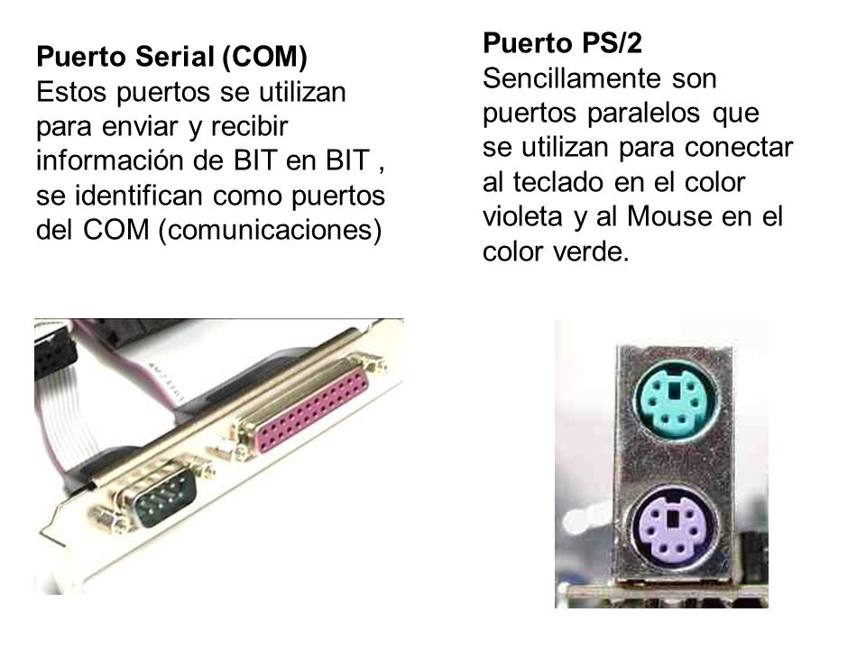 Puerto PS/2 Sencillamente son puertos paralelos que se utilizan para conectar al teclado en el color violeta y al Mouse en el color verde.