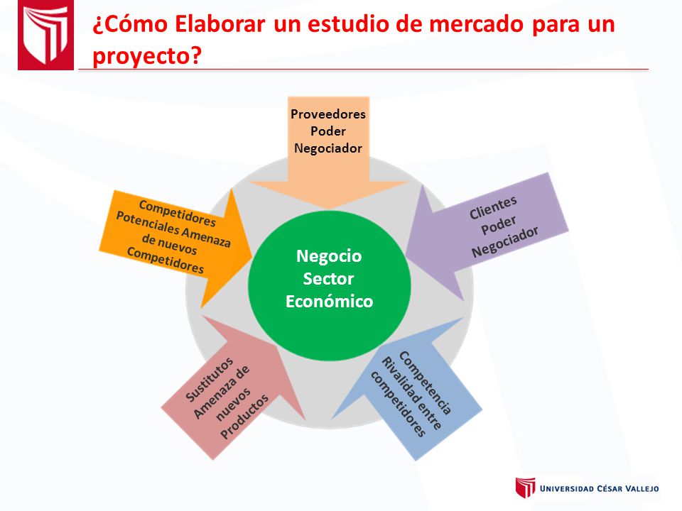 ¿Cómo Elaborar un estudio de mercado para un proyecto