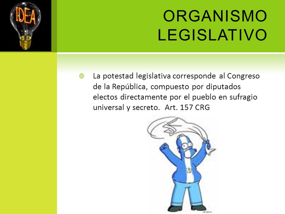 ORGANISMO LEGISLATIVO