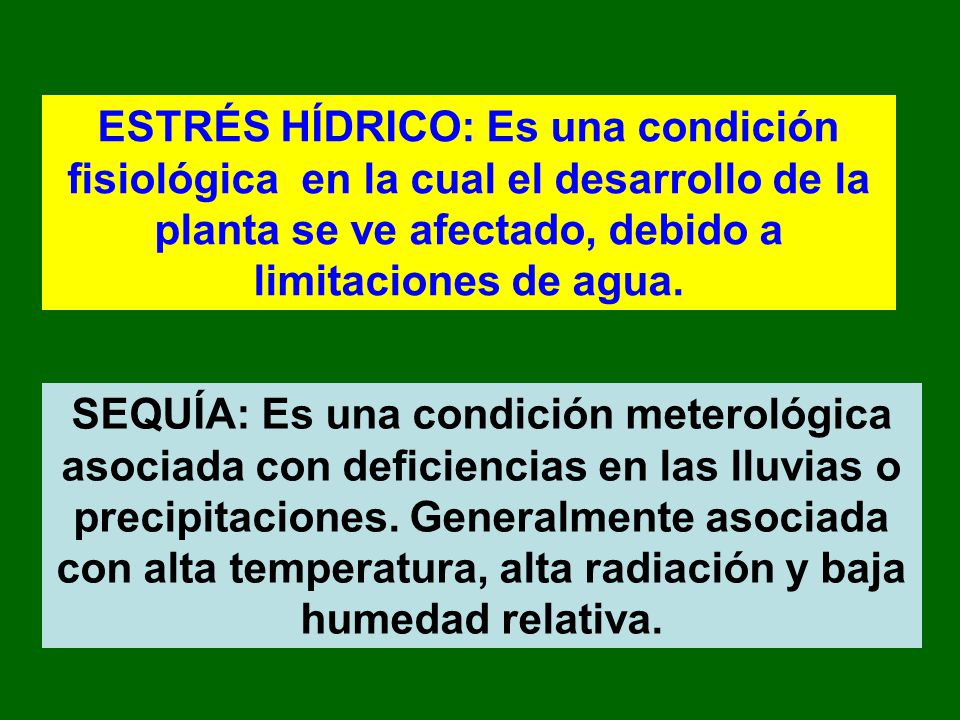 ESTRÉS HÍDRICO: Es una condición fisiológica en la cual el desarrollo de la planta se ve afectado, debido a limitaciones de agua.
