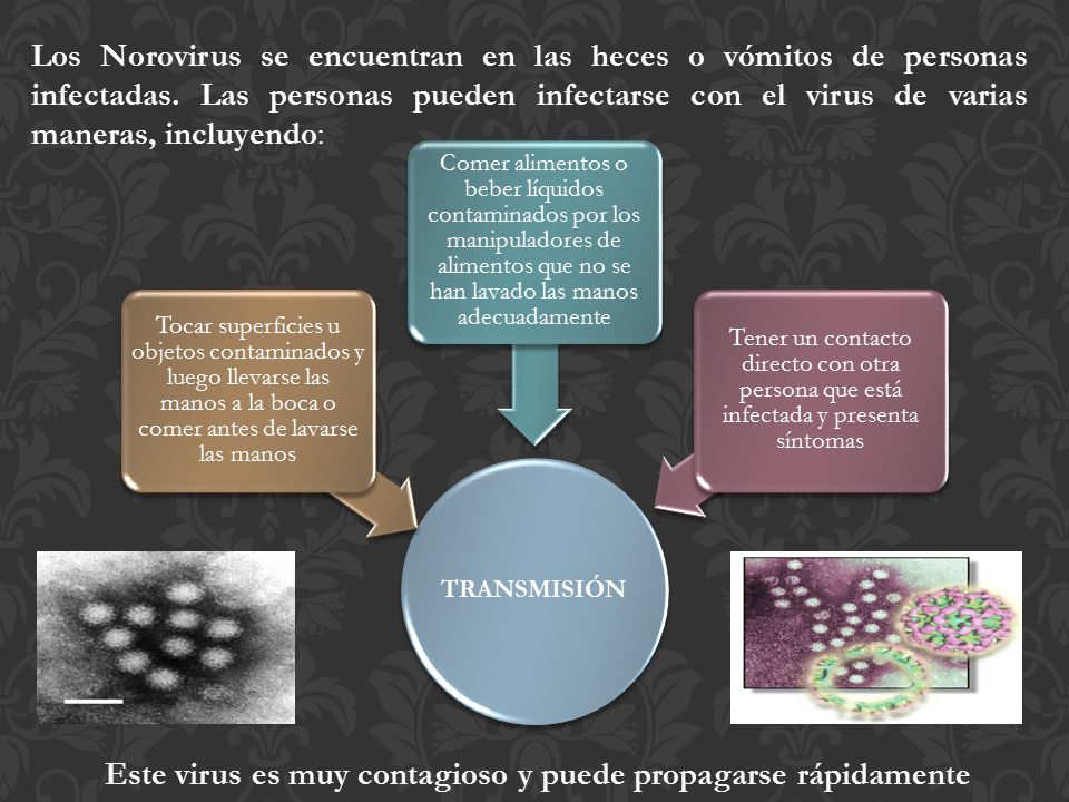 Este virus es muy contagioso y puede propagarse rápidamente