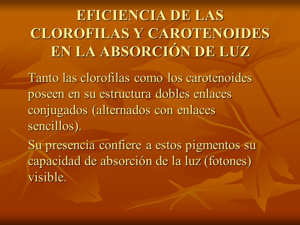 EFICIENCIA DE LAS CLOROFILAS Y CAROTENOIDES EN LA ABSORCIÓN DE LUZ