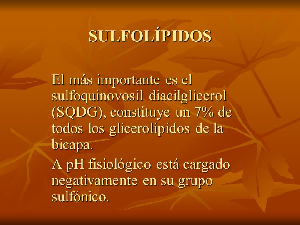 SULFOLÍPIDOS El más importante es el sulfoquinovosil diacilglicerol (SQDG), constituye un 7% de todos los glicerolípidos de la bicapa.
