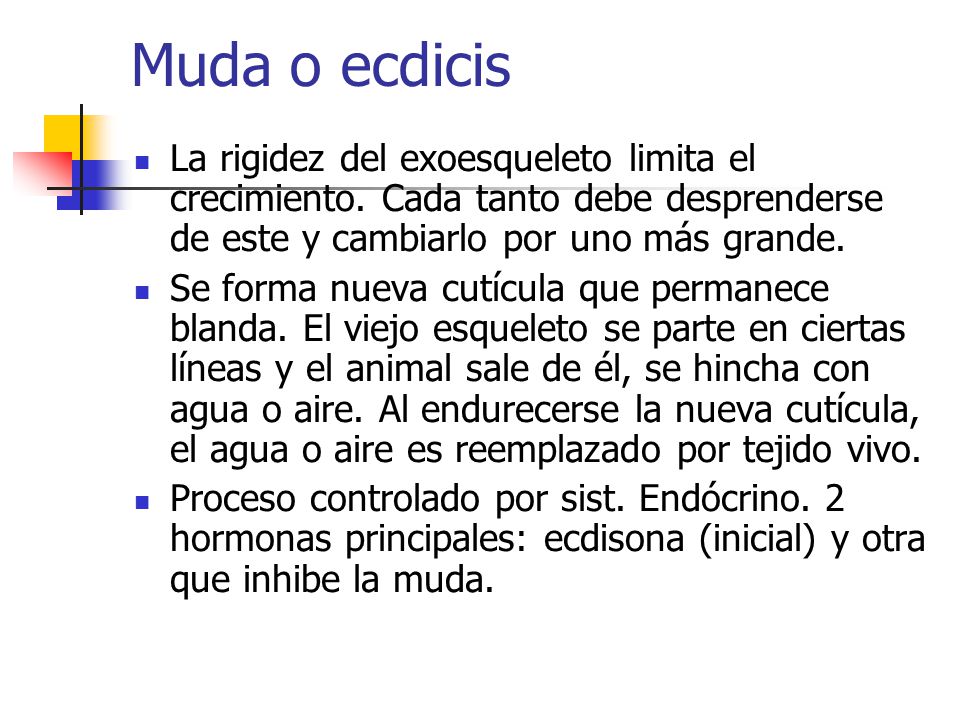 Muda o ecdicis La rigidez del exoesqueleto limita el crecimiento. Cada tanto debe desprenderse de este y cambiarlo por uno más grande.