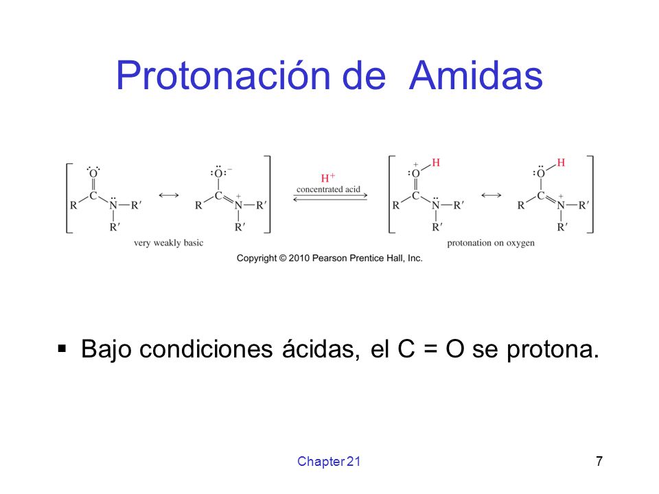 Protonación de Amidas Bajo condiciones ácidas, el C = O se protona.