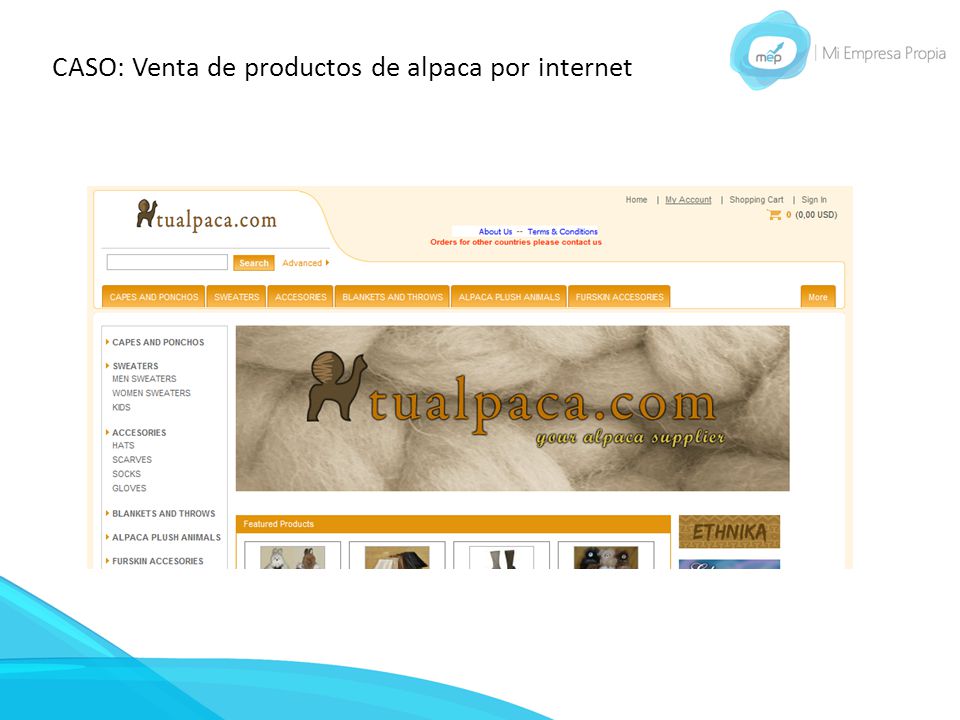 CASO: Venta de productos de alpaca por internet
