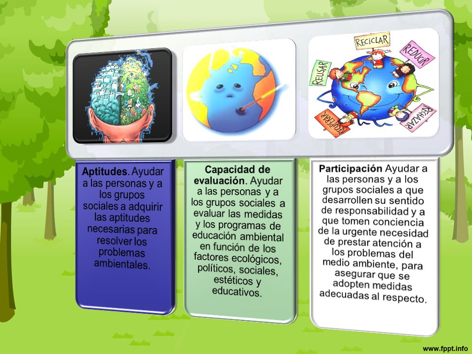 Aptitudes. Ayudar a las personas y a los grupos sociales a adquirir las aptitudes necesarias para resolver los problemas ambientales.