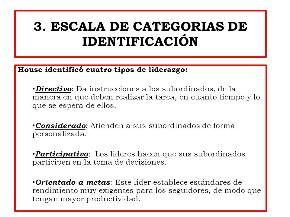 3. ESCALA DE CATEGORIAS DE IDENTIFICACIÓN