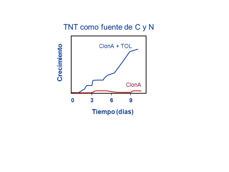 TNT como fuente de C y N Crecimiento Tiempo (días) ClonA 3 6 9
