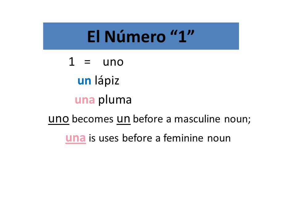El Número 1 1 = uno un lápiz una pluma uno becomes un before a masculine noun; una is uses before a feminine noun