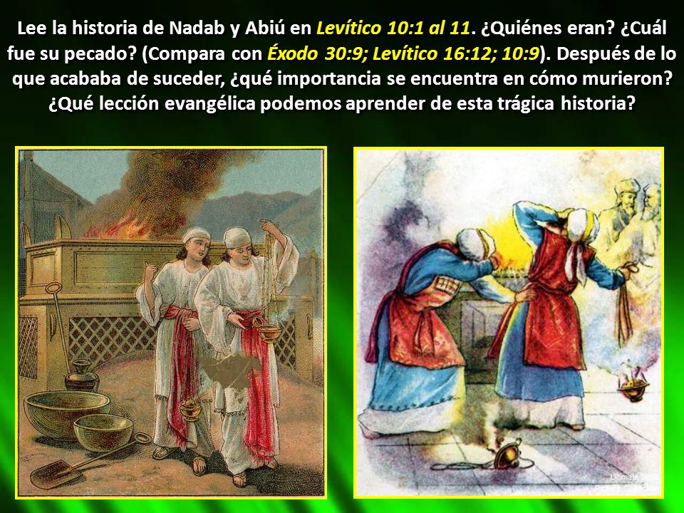 Lee la historia de Nadab y Abiú en Levítico 10:1 al 11. ¿Quiénes eran