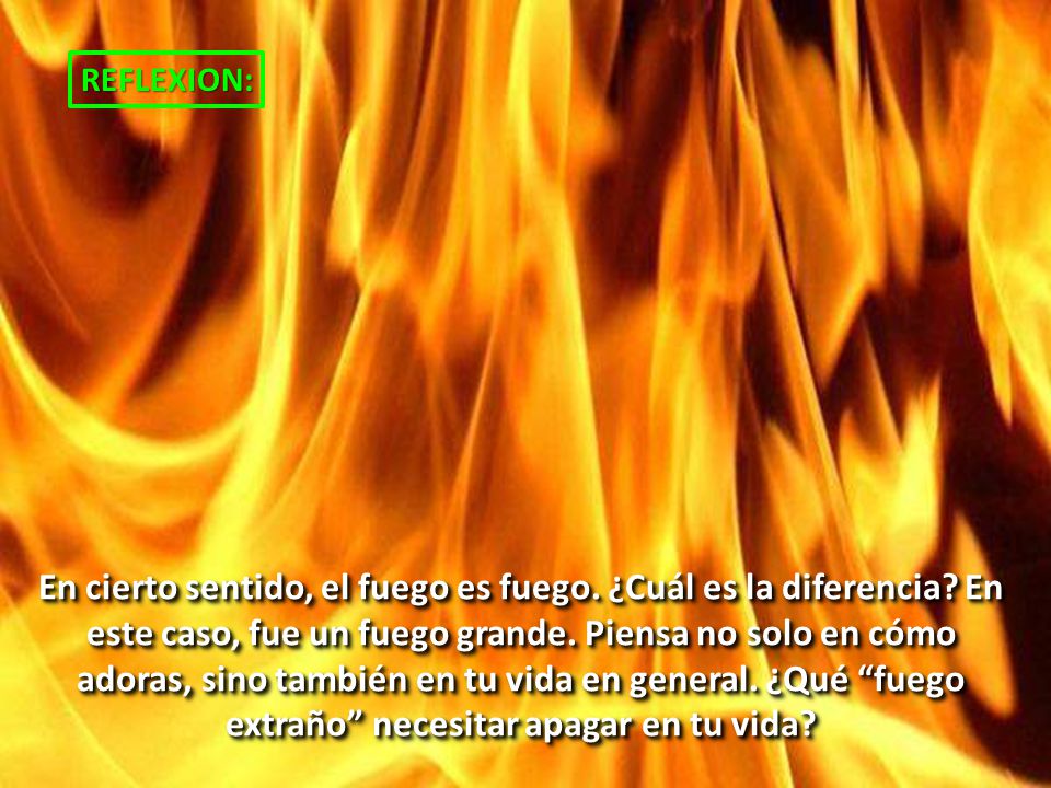 REFLEXION: