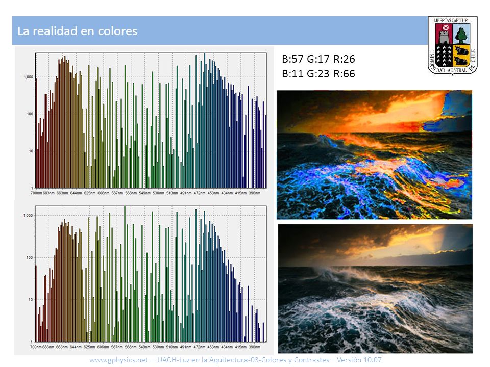 La realidad en colores B:57 G:17 R:26 B:11 G:23 R:66