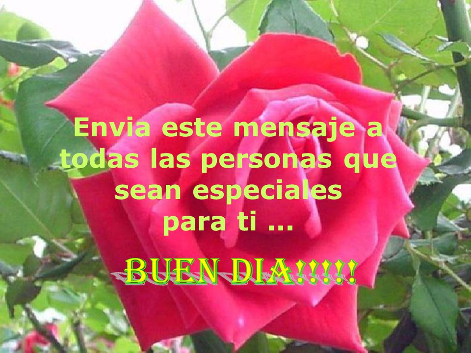 Envia este mensaje a todas las personas que sean especiales para ti ...