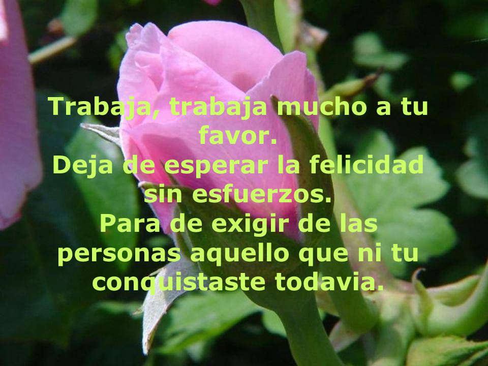 Para de exigir de las personas aquello que ni tu conquistaste todavia.