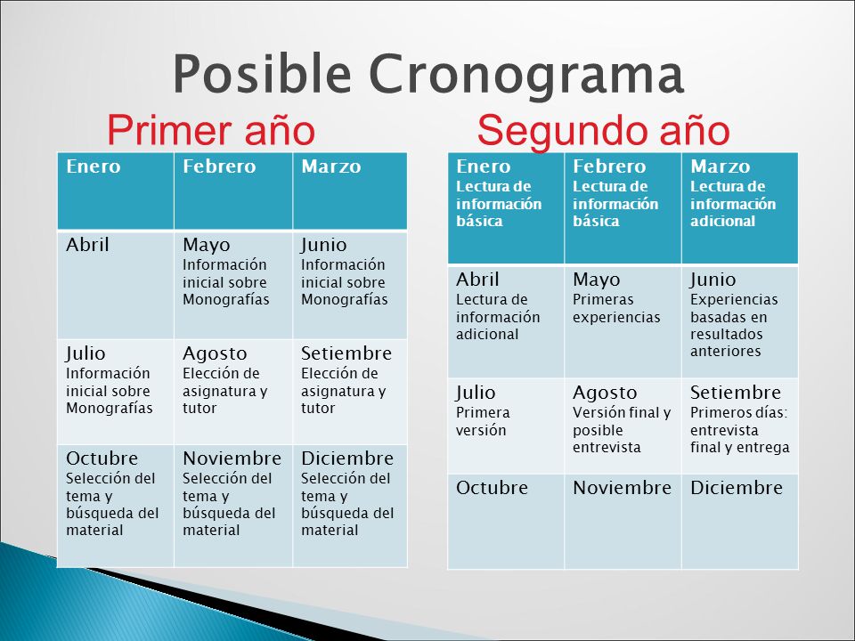 Posible Cronograma Primer año Segundo año Enero Febrero Marzo Abril
