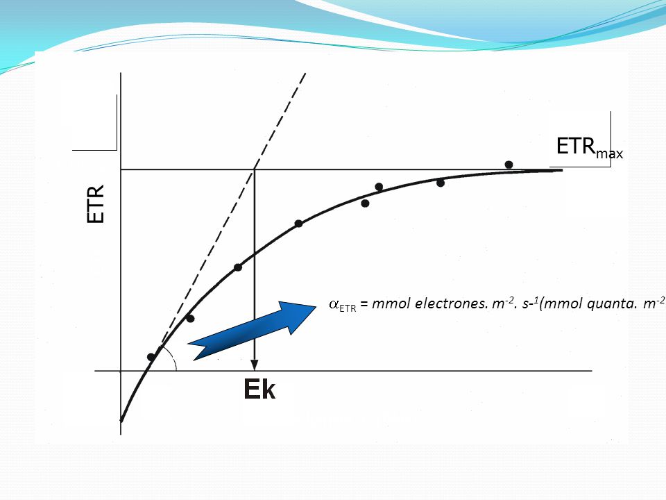 ETR ETRmax. Irradiancia, E (PAR) aETR = mmol electrones. m-2. s-1(mmol quanta. m-2. s-1)-1. ETRmax.