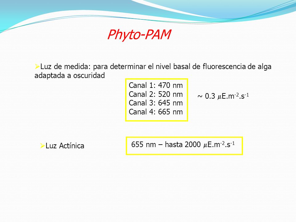 Phyto-PAM Luz de medida: para determinar el nivel basal de fluorescencia de alga adaptada a oscuridad.