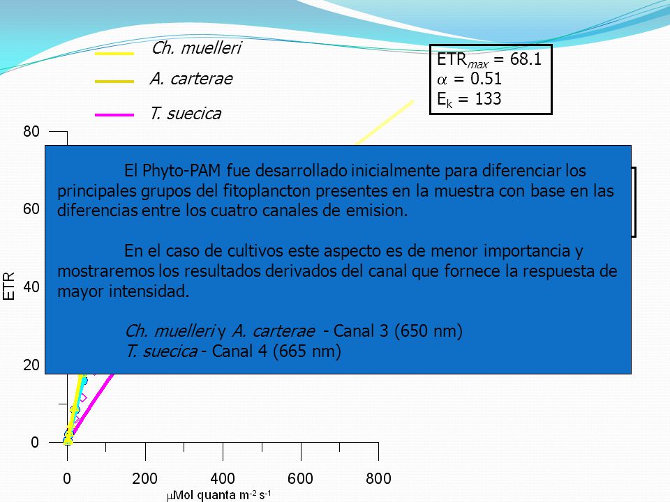 Ch. muelleri y A. carterae - Canal 3 (650 nm)