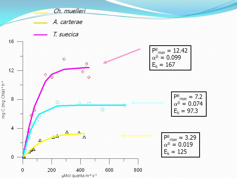 Ch. muelleri A. carterae T. suecica PBmax = aB = Ek = 167