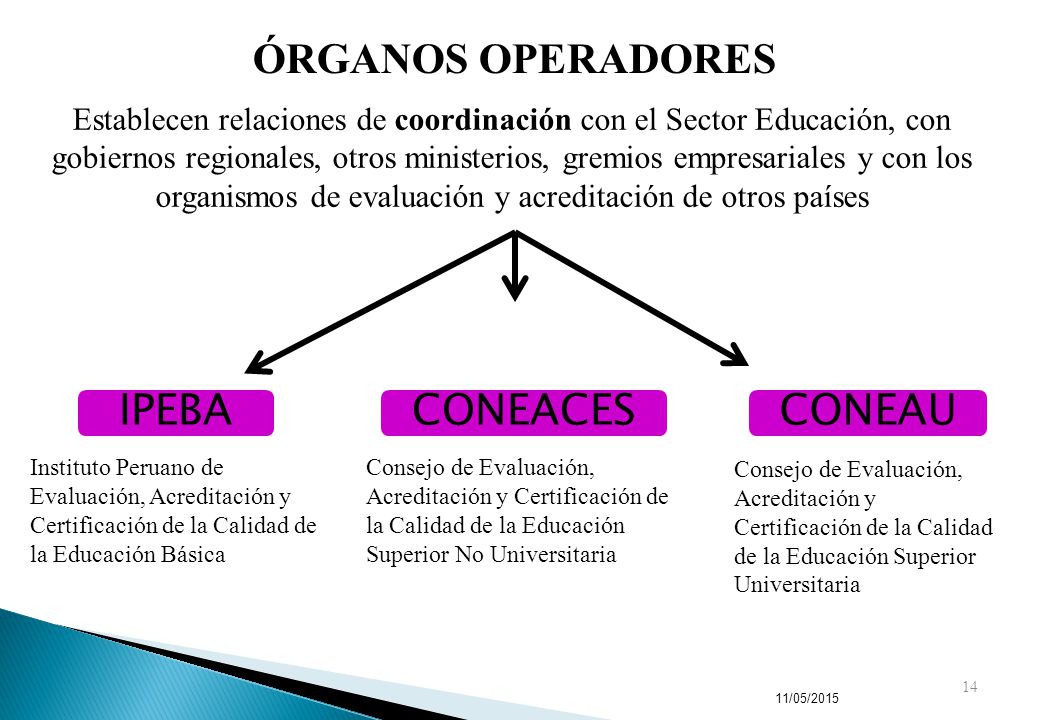 ÓRGANOS OPERADORES IPEBA CONEACES CONEAU