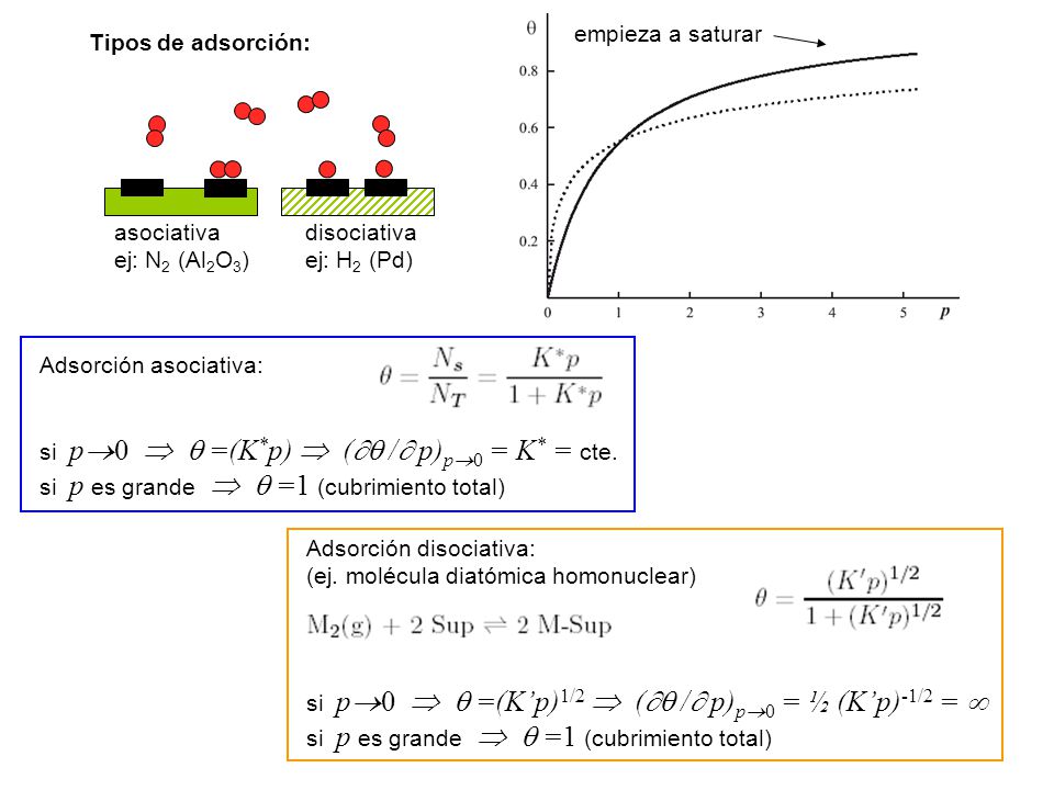 empieza a saturar Tipos de adsorción: asociativa. ej: N2 (Al2O3) disociativa. ej: H2 (Pd) Adsorción asociativa: