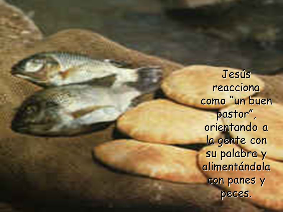 Jesús reacciona como un buen pastor , orientando a la gente con su palabra y alimentándola con panes y peces.