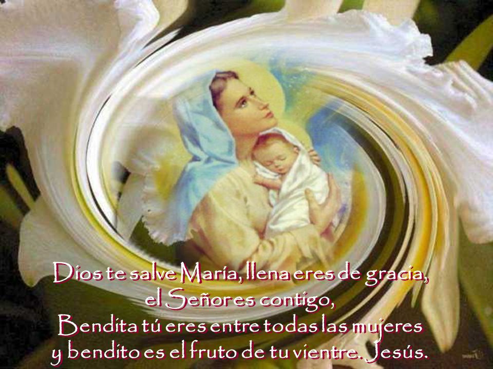 Dios te salve María, llena eres de gracia, el Señor es contigo, Bendita tú eres entre todas las mujeres y bendito es el fruto de tu vientre.