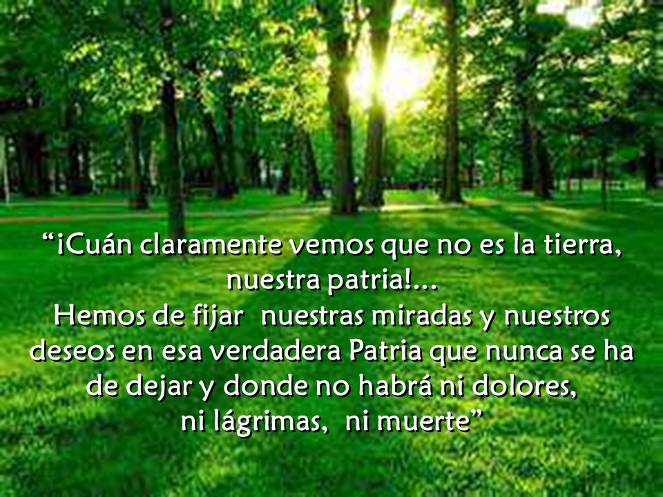¡Cuán claramente vemos que no es la tierra, nuestra patria!...