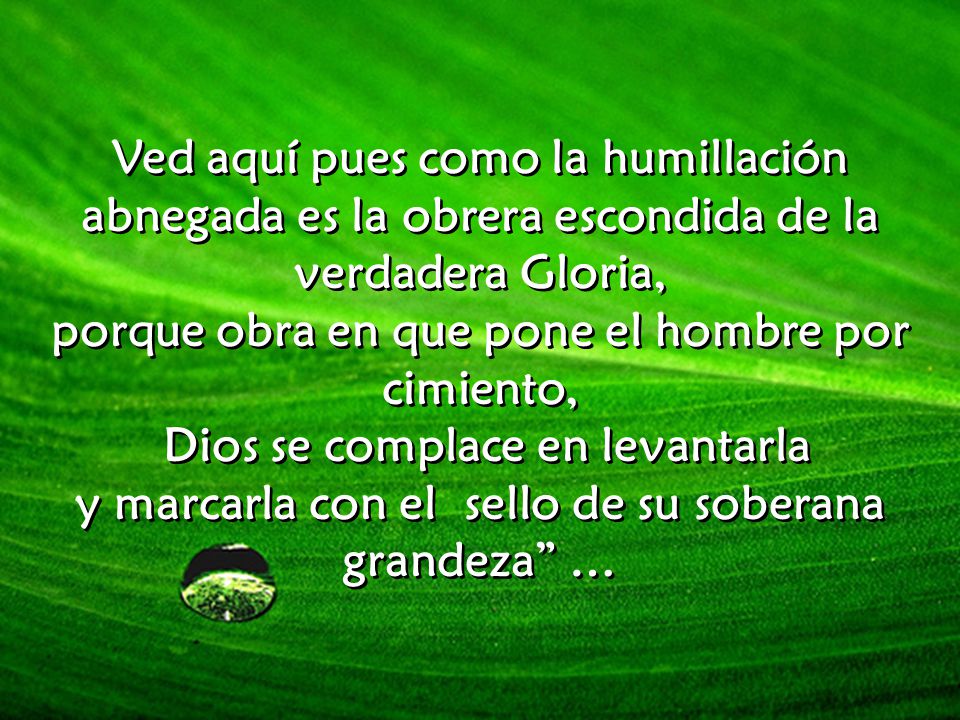 porque obra en que pone el hombre por cimiento,