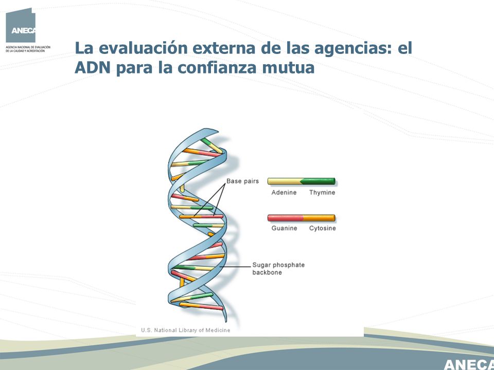 La evaluación externa de las agencias: el ADN para la confianza mutua