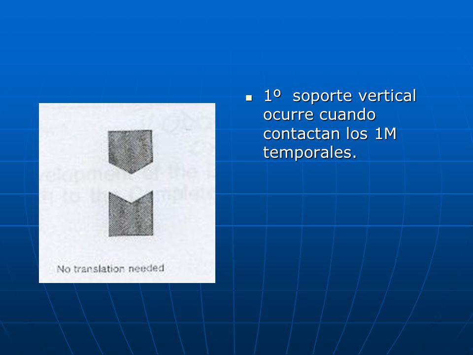 1º soporte vertical ocurre cuando contactan los 1M temporales.
