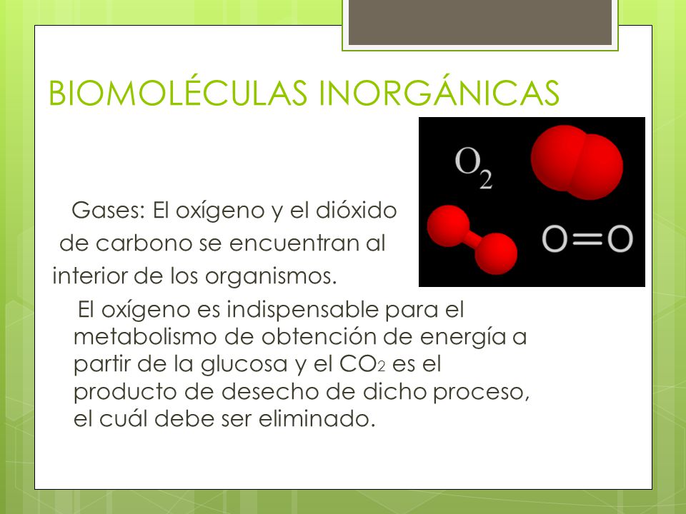 Biomoléculas orgánicas e inorgánicas - ppt descargar