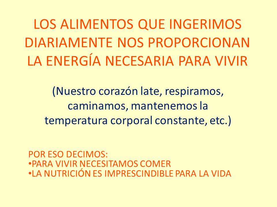 LOS ALIMENTOS QUE INGERIMOS DIARIAMENTE NOS PROPORCIONAN LA ENERGÍA NECESARIA PARA VIVIR