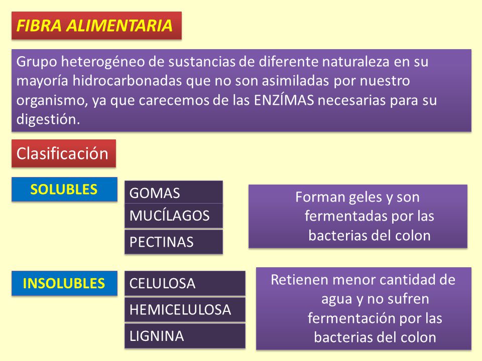 Forman geles y son fermentadas por las bacterias del colon