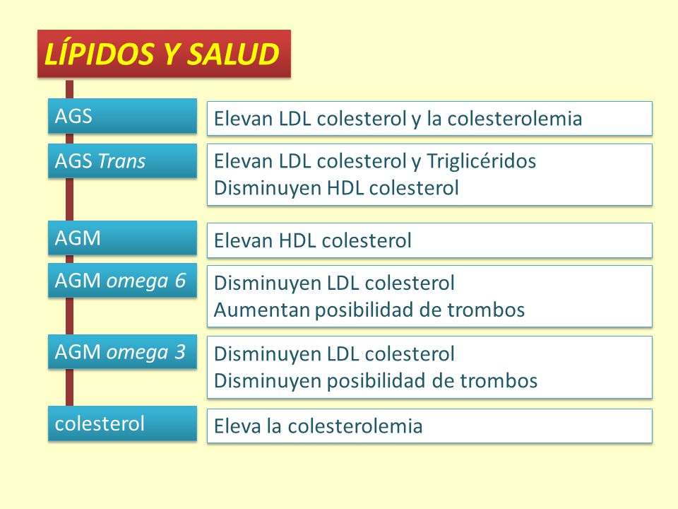 LÍPIDOS Y SALUD AGS Elevan LDL colesterol y la colesterolemia