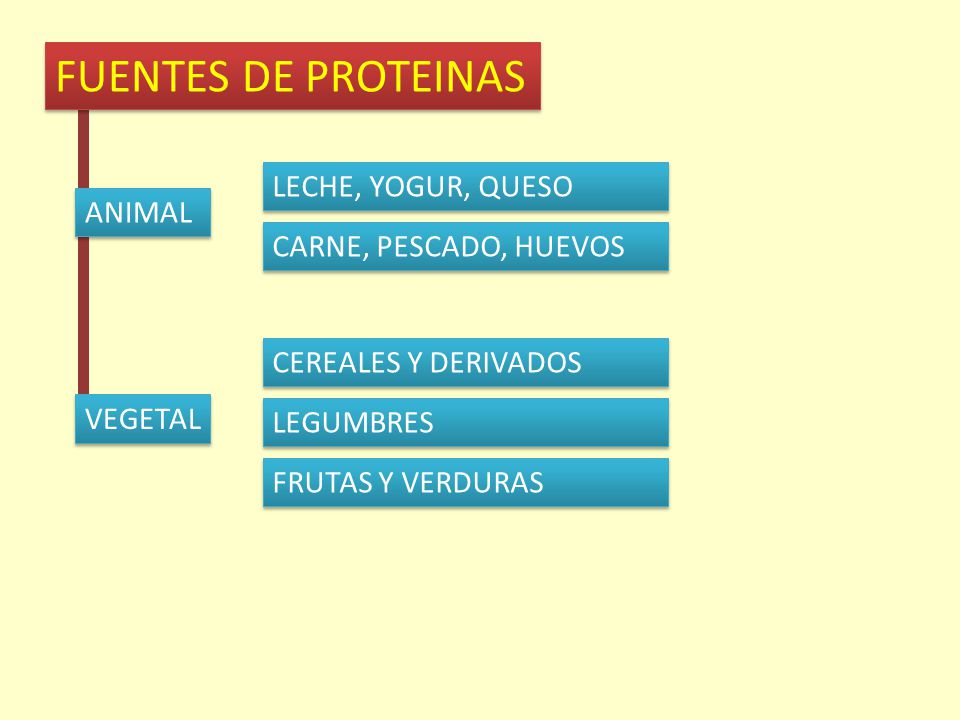 FUENTES DE PROTEINAS LECHE, YOGUR, QUESO ANIMAL CARNE, PESCADO, HUEVOS