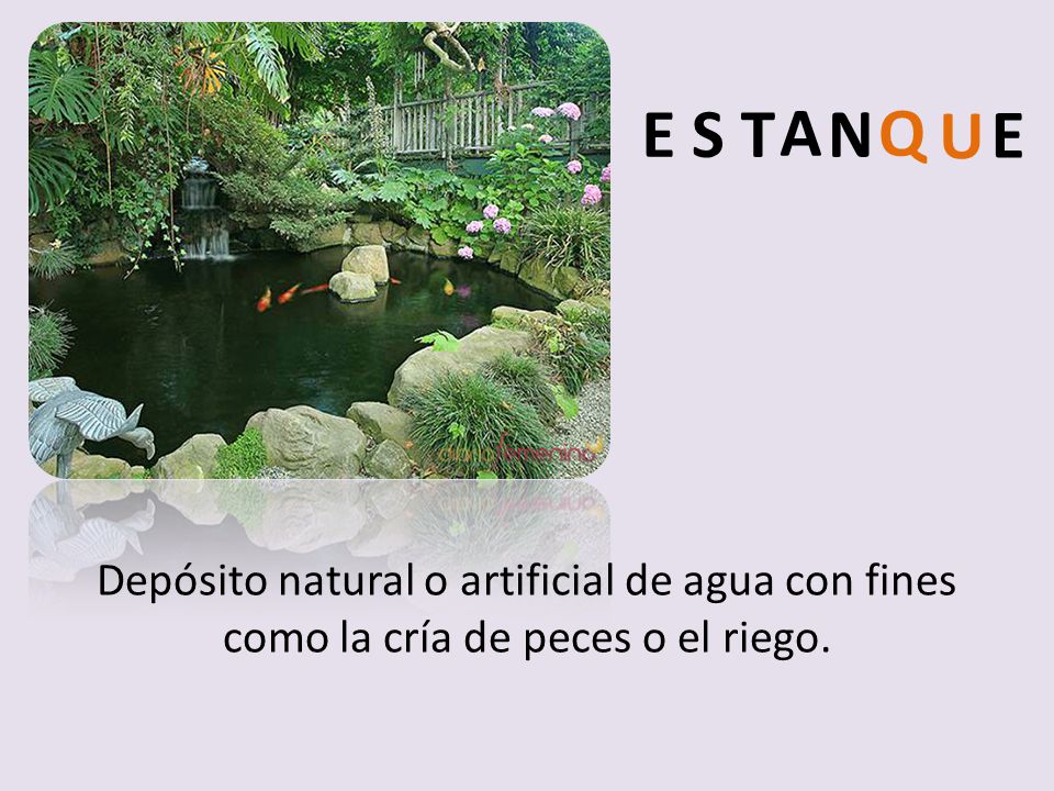 E S T A N Q U E Depósito natural o artificial de agua con fines como la cría de peces o el riego.
