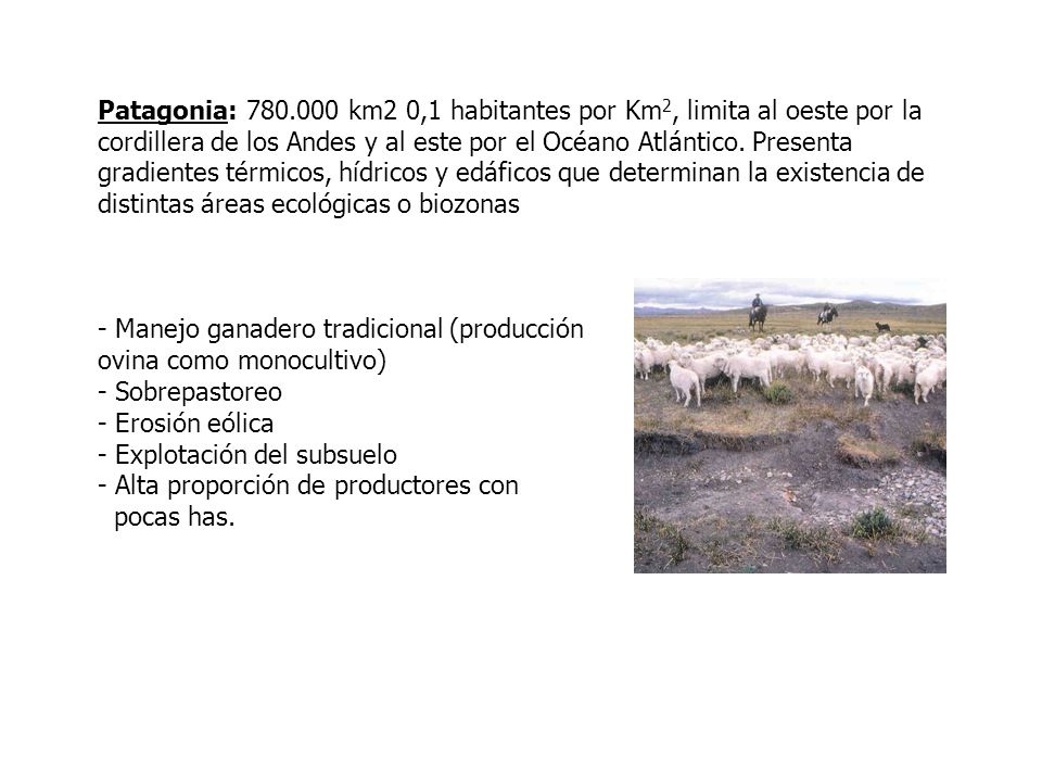 Patagonia: km2 0,1 habitantes por Km2, limita al oeste por la cordillera de los Andes y al este por el Océano Atlántico.