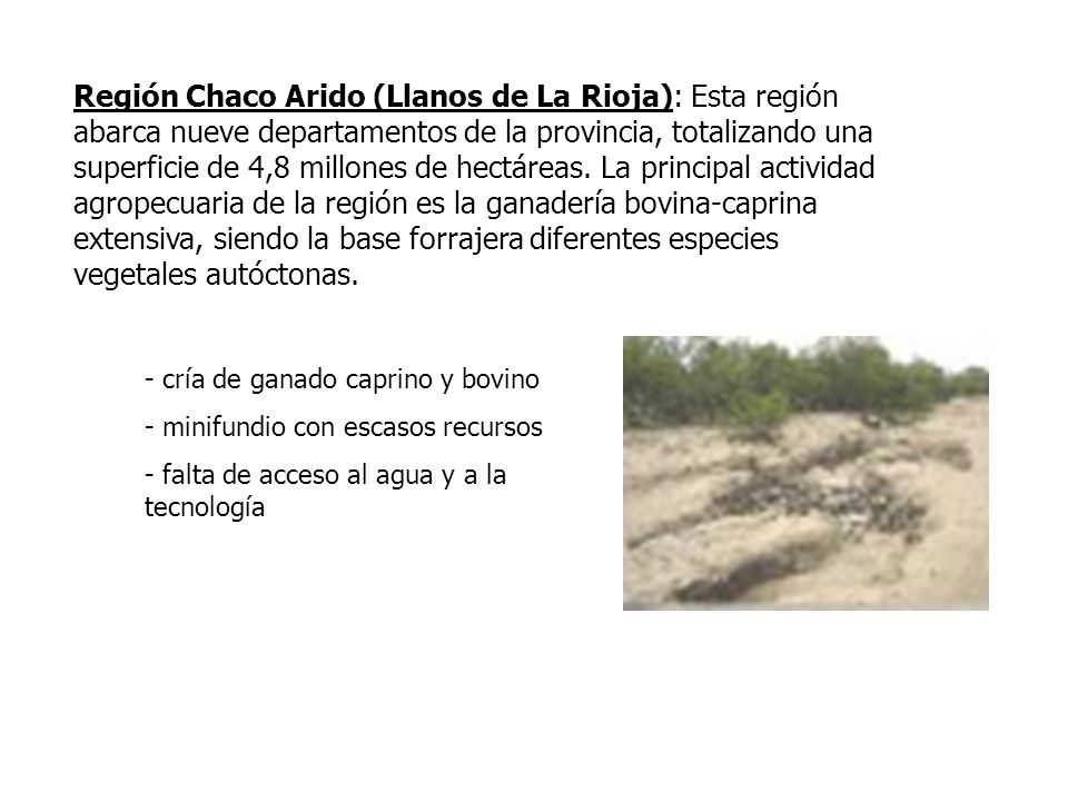 Región Chaco Arido (Llanos de La Rioja): Esta región abarca nueve departamentos de la provincia, totalizando una superficie de 4,8 millones de hectáreas. La principal actividad agropecuaria de la región es la ganadería bovina-caprina extensiva, siendo la base forrajera diferentes especies vegetales autóctonas.