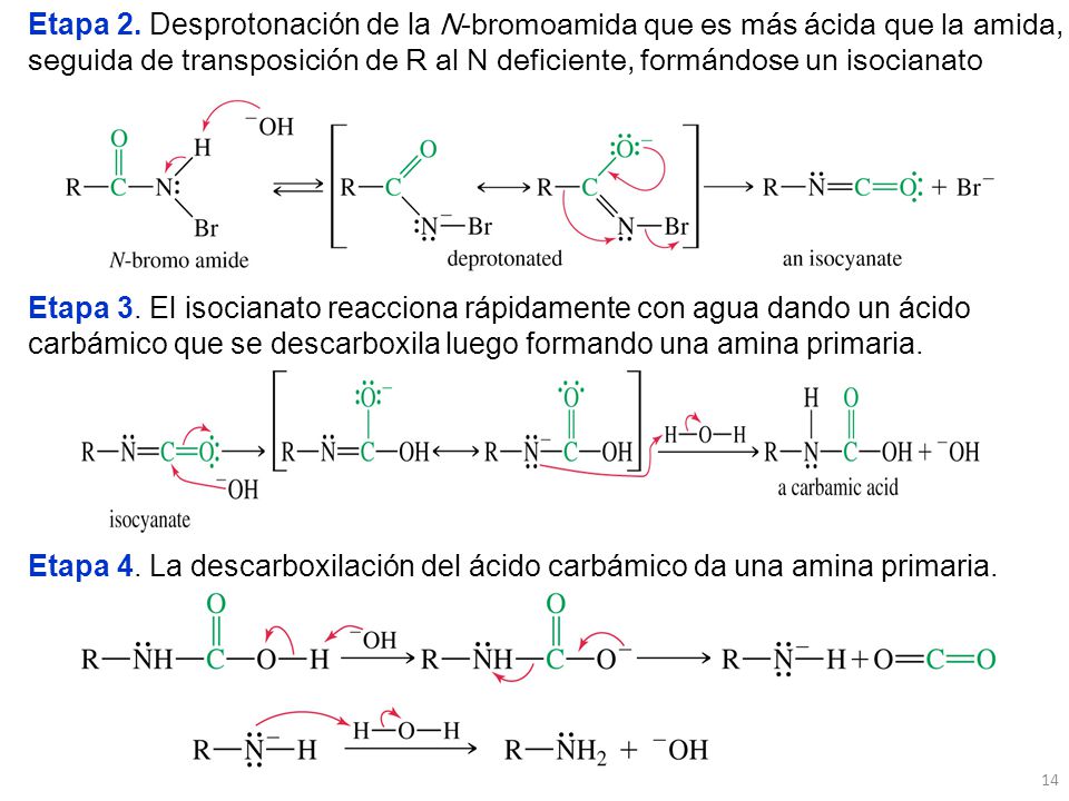 Etapa 2. Desprotonación de la N-bromoamida que es más ácida que la amida, seguida de transposición de R al N deficiente, formándose un isocianato