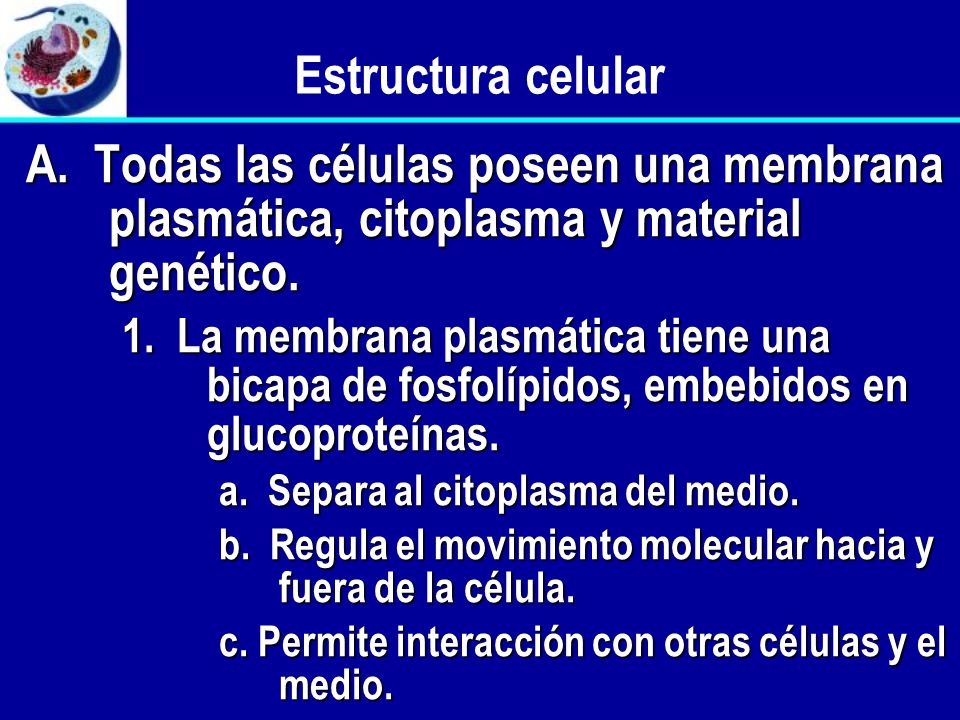 Estructura celular A. Todas las células poseen una membrana plasmática, citoplasma y material genético.