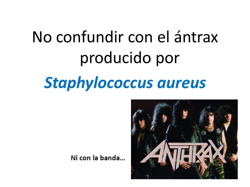 No confundir con el ántrax producido por Staphylococcus aureus