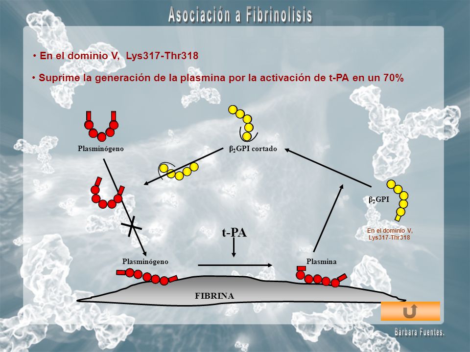 Asociación a Fibrinolisis