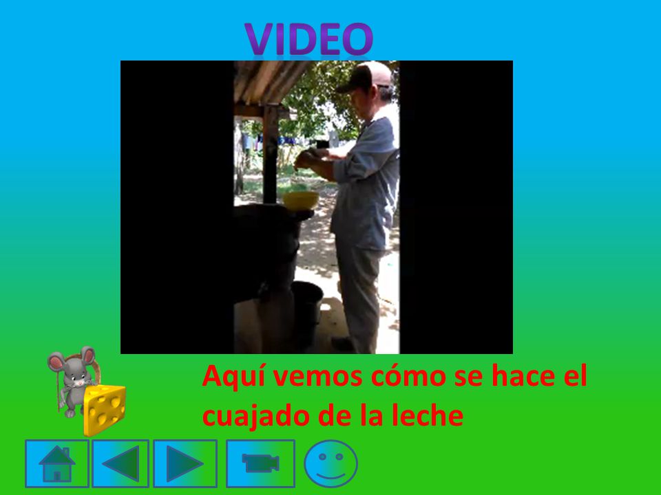 VIDEO Aquí vemos cómo se hace el cuajado de la leche