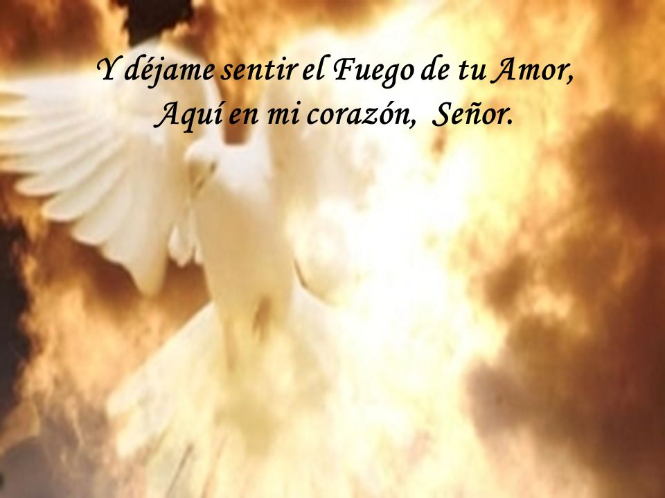 Y déjame sentir el Fuego de tu Amor, Aquí en mi corazón, Señor.