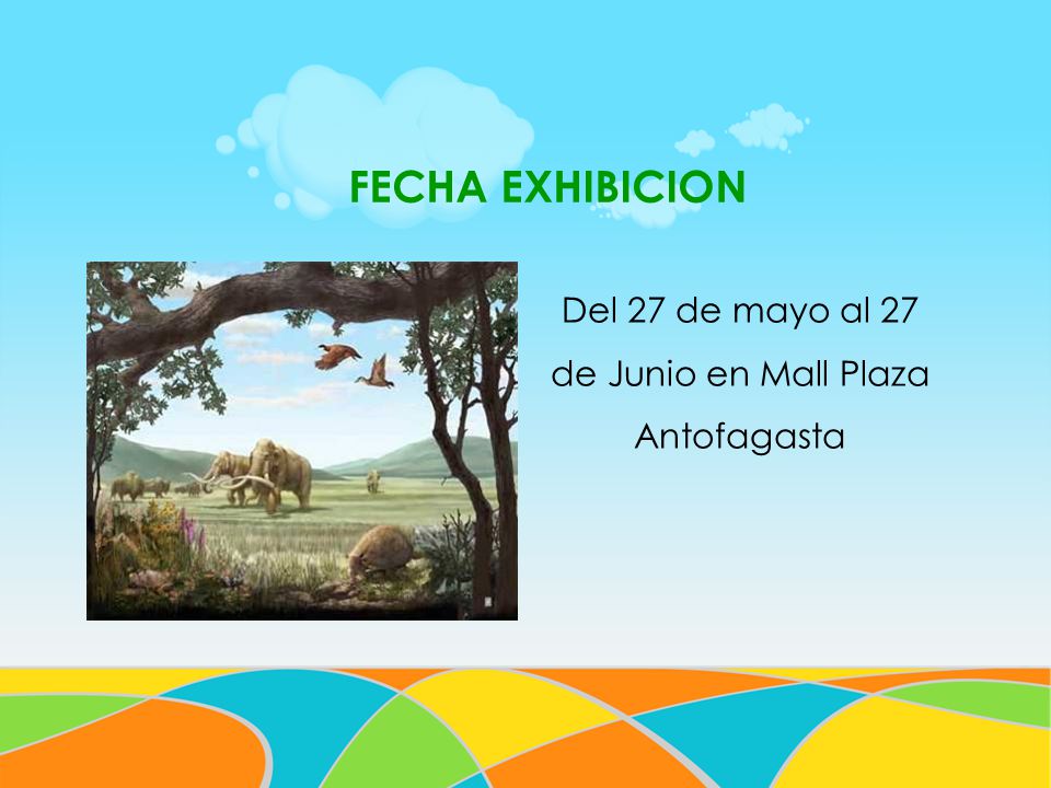 Del 27 de mayo al 27 de Junio en Mall Plaza Antofagasta