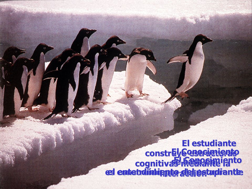 El estudiante construye estructuras. cognitivas mediante la. interacción. El Conocimiento. se basa en.